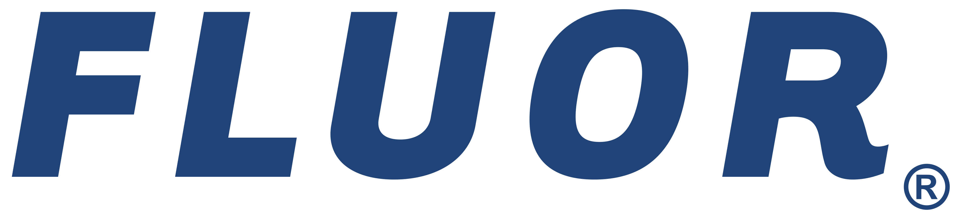 Logo_FLUOR logo
